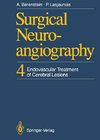 Surgical Neuroangiography