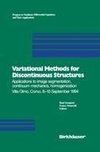 Variational Methods for Discontinuous Structures