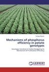 Mechanisms of phosphorus efficiency in potato genotypes