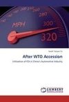 After WTO Accession