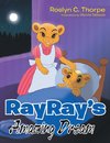 RayRay's Amazing Dream