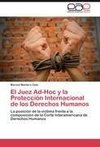 El Juez Ad-Hoc y la Protección Internacional de los Derechos Humanos