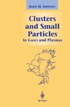 Clusters and Small Particles