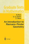 An Introduction to Riemann-Finsler Geometry