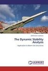 The Dynamic Stability Analysis