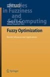 Fuzzy Optimization
