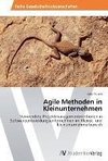 Agile Methoden in Kleinunternehmen