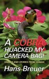 A Cobra Hijacked My Camera Bag! Snakes and Stories from Taiwan