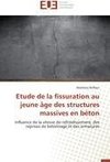 Etude de la fissuration au jeune âge des structures massives en béton