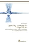 Geometry and type IIB string theory