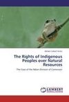 The Rights of Indigenous Peoples over Natural     Resources