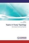 Topics in Fuzzy Topology