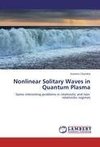 Nonlinear Solitary Waves in Quantum Plasma