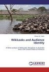 WikiLeaks and Audience Identity
