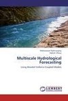 Multiscale Hydrological Forecasting