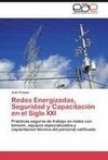 Redes Energizadas, Seguridad y Capacitación en el Siglo XXI