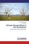 Climate Change Effect in the Sundarbans