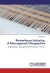 Powerloom Industry:  A Management Perspective