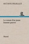 Le roman d'un jeune homme pauvre (Novel)