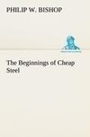 The Beginnings of Cheap Steel