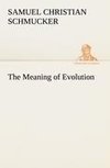 The Meaning of Evolution