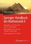 Springer-Handbuch der Mathematik II