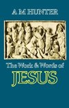 The Work and Words of Jesus
