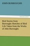 Bird Stories from Burroughs Sketches of Bird Life Taken from the Works of John Burroughs