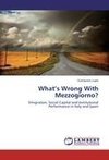 What's Wrong With Mezzogiorno?
