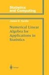 Numerical Linear Algebra for Applications in Statistics