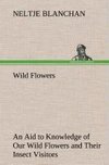 Wild Flowers An Aid to Knowledge of Our Wild Flowers and Their Insect Visitors