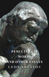 Penultimate Words and Other Essays