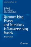 Quantum Ising Phases and Transitions in Transverse Ising Models