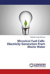 Microbial Fuel Cells: Electricity Generation From Waste Water