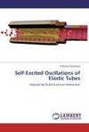 Self-Excited Oscillations of Elastic Tubes