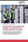 Evaluación de programas S&SO en empresas de distribución de energía