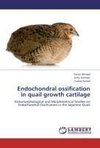 Endochondral ossification in quail growth cartilage