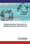 Magnetization Dynamics in Magnetic Nanoscale Devices