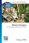 Rhesus macaque