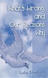 What's Wrong and Our Reasons Why
