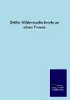 Ottilie Wildermuths Briefe an einen Freund
