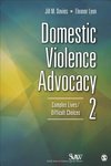 Davies, J: Domestic Violence Advocacy