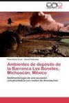 Ambientes de depósito de la Barranca Los Bonetes, Michoacán, México