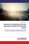 Removal of pollutants from aqueous media by chitosan resins