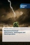 Bioelectrochemical phenomena:  electrolysis and electroporation