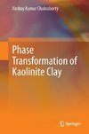 Phase Transformation of Kaolinite Clay