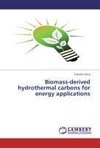 Biomass-derived hydrothermal carbons for energy applications