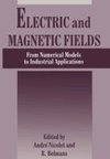 Electric and Magnetic Fields