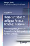 Characterization of an Upper Permian Tight Gas Reservoir