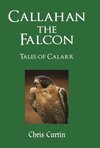 Callahan the Falcon